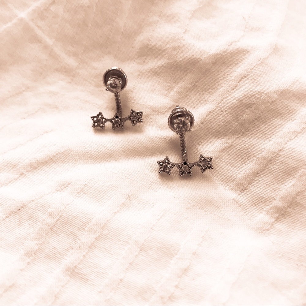 Star Fan Post Earrings - Silver